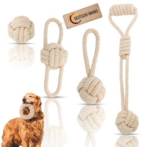 Petaureus Premium Hundespielzeug Große Hunde: Seil Hundeball 4er Set - Robustes Welpenspielzeug aus Baumwolle & Hanf - Ideal für mittlere bis große Hunde & aktive Welpen von Petaureus
