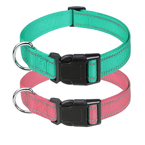 Petbuy 2xreflektierende Nylon-Hundehalsbänder, mit Schnellverschluss-Schnalle, verstellbare Sicherheits-Nylon-Halsbänder für kleine,50.8 cm, Türkis-Hellrosa) von Petbuy