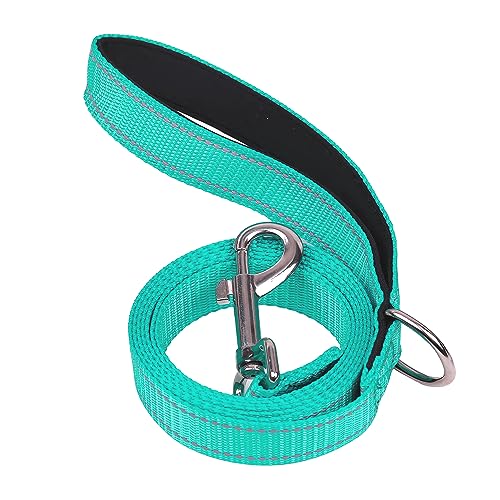 Petbuy Doppelseitige reflektierende Hundeleine für große und mittelgroße und kleine Hunde, starke und langlebige Haustier-Nylon-Leinen mit weich gepolstertem Griff, Welpenleine mit D-Ring (Türkis, 2,5 von Petbuy