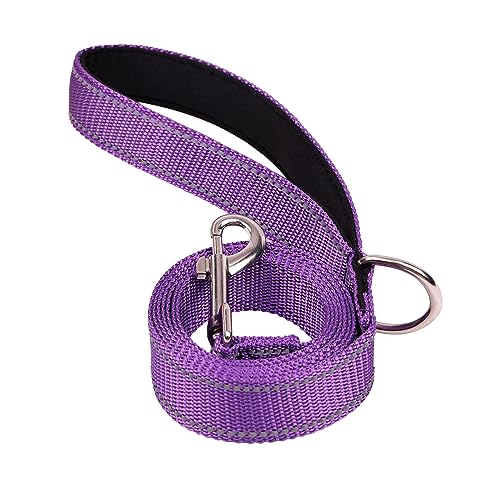 Petbuy Reflektierende Hundeleine mit weich gepolstertem Griff, starke und langlebige Nylon-Leinen für Spaziergänge und Training für mittelgroße und große Hunde, Lila, 2,5 cm x 1,2 m von Petbuy