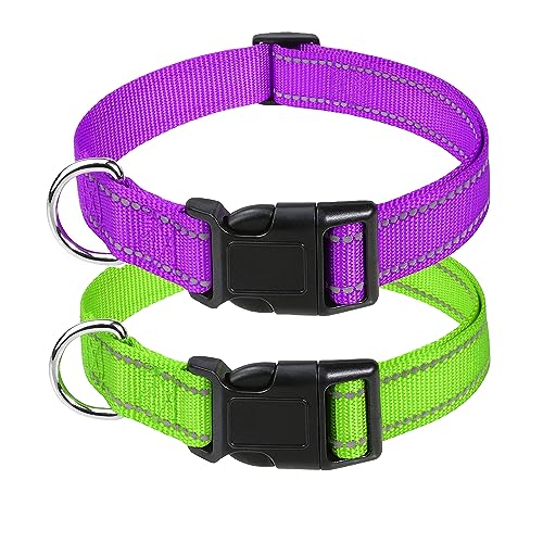 Petbuy Reflektierendes Nylon-Hundehalsband, mit Schnellverschluss-Schnalle, verstellbare Sicherheits-Nylon-Halsbänder für kleine, mittelgroße und große Hunde (Größe M: Breite 1, Halsumfang 35,6 cm - von Petbuy