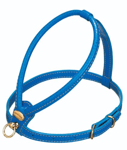 Petego La Cinopelca Hundegeschirr, Handgefertigt, Kalbsleder, 45 cm, Blau, Klassisch, Hund, Einfarbig, Handgefertigt aus Kalbsleder, Einzelframe für Hunde von Petego