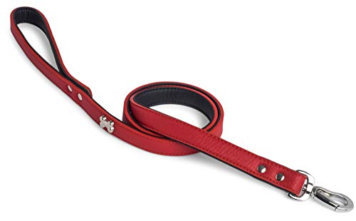 Petface Hundehalsband mit Knochenmuster von Petface