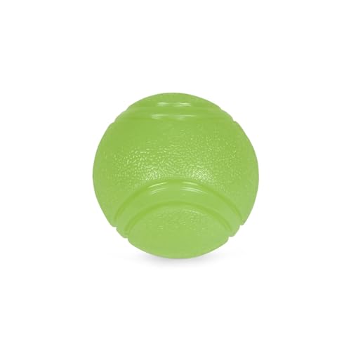 Petface Outdoor Paws Hundespielzeug, leuchtet im Dunkeln, 6,5 cm, 1 Stück von Petface