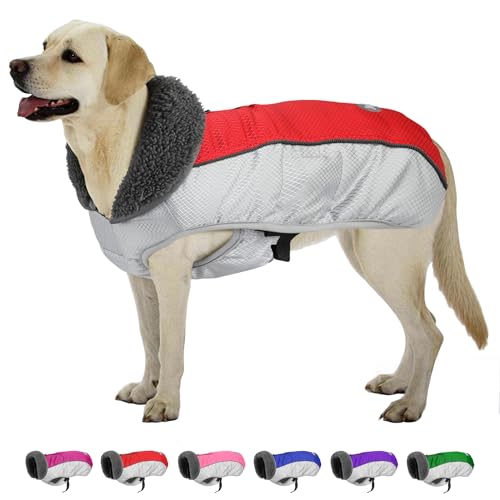 Hund Wintermantel, Ripstop Hundejacke mit Reflektierenden Streifen, Weihnachten Wasserdicht Hundepullover mit Geschirrloch, Warme Haustier Winterweste für Kleine Mittlere Extra Große Hunde (Rot, 3XL) von Petglad