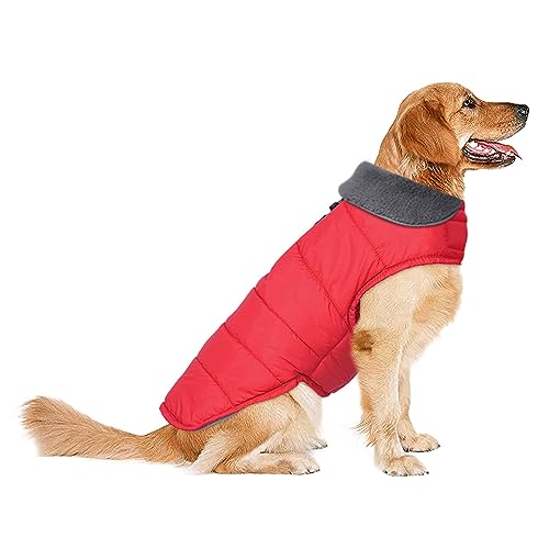 Hunde-Wintermantel, winddichte und wasserdichte Hundejacke für kaltes Wetter, gemütliche, warme Haustierkleidung für Welpen, Hunde, kleine, Haustiere Mädchen (Rot, 3XL) von Petglad