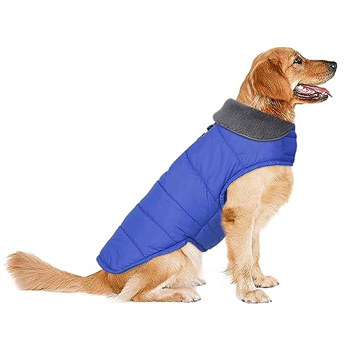 Petglad Hunde-Wintermantel, wasserdichte Hundejacke mit Loch für die Leine, reflektierend, warm, winddichte Fleece-Weste für kleine, mittelgroße und große Hunde, Blau, Größe 3XL von Petglad