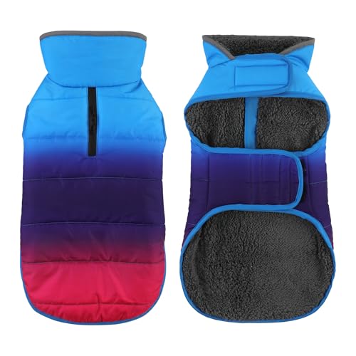 Petglad Hunde-Wintermantel, wasserdichte Hundejacke mit Loch für die Leine, reflektierend, warm, winddichte Fleece-Weste für kleine, mittelgroße und große Hunde, Farbverlauf, Blau, Größe S von Petglad