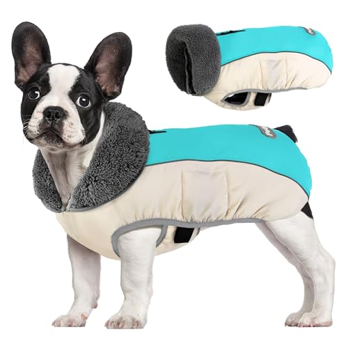 Petglad Hundemantel, wasserdichte Hunde-Winterjacke mit Loch für die Leine, reflektierend, verstellbar, Hunde-Fleecepullover, warme Schneeweste für kleine, mittelgroße und extra große Hunde von Petglad