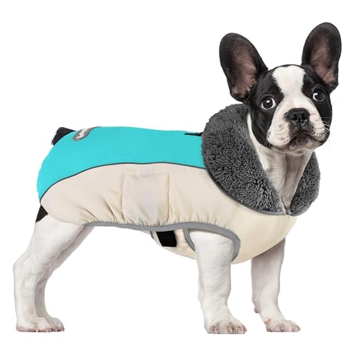 Petglad Hundemantel, wasserdichte Hunde-Winterjacke mit Loch für die Leine, reflektierend, verstellbar, Hunde-Fleecepullover, warme Schneeweste für kleine, mittelgroße und extra große Hunde von Petglad