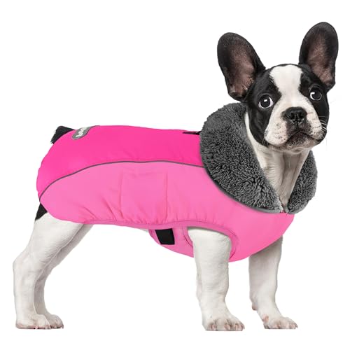 Petglad Hundemantel, wasserdichte Hunde-Winterjacke mit Loch für die Leine, reflektierender, verstellbarer Hundefleecepullover, Warme Schneeweste für kleine, mittelgroße und extra große Hunde (Rosarot von Petglad