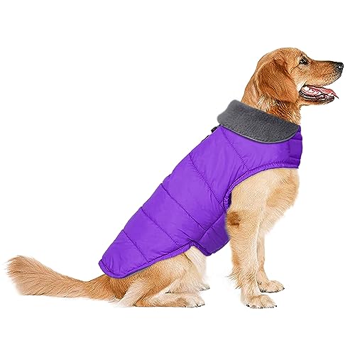 Wasserdichter Hundemantel, Hundejacke für kaltes Wetter, Winddicht Bequeme Haustier Weste für Kleine Mittlere Extra Große Hunde Haustiere Junge Mädchen (Lila, 2XL) von Petglad