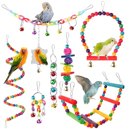 Pethee 8 Stück Vogelspielzeug für Wellensittiche Kauspielzeug für Papageien Vogelschaukel Glocken Schaukelspielzeug aus Holz für Conures Liebesvögel Nymphensittiche kleine Sittiche Sittiche Finken von Pethee