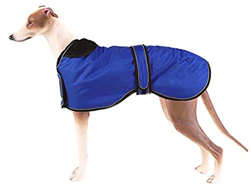 Pethiy- Winter wasserdichte Hundejacke für Windhund, Hundemantel mit warmem Fleece-Futter und verstellbaren Bändern, für Außenbereich, für mittel und große Hunde-Blau-S von Pethiy