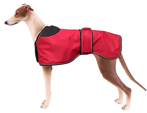 Pethiy- Winter wasserdichte Hundejacke für Windhund, Hundemantel mit warmem Fleece-Futter und verstellbaren Bändern, für Außenbereich, für mittel und große Hunde-Rot-L von Pethiy