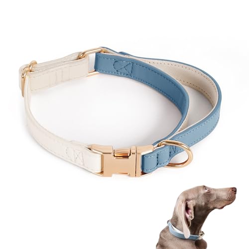 Hundehalsband, Leder, Größe L, Blau von Petinstinct