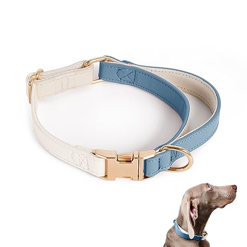 Hundehalsband Blau Leder (S) von Petinstinct