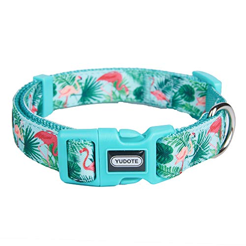 Petiry Hundehalsband, Nylon mit Band, grünes Flamingo-Muster, für mittelgroße Hunde, Halsumfang 30,5 - 45,7 cm von Petiry