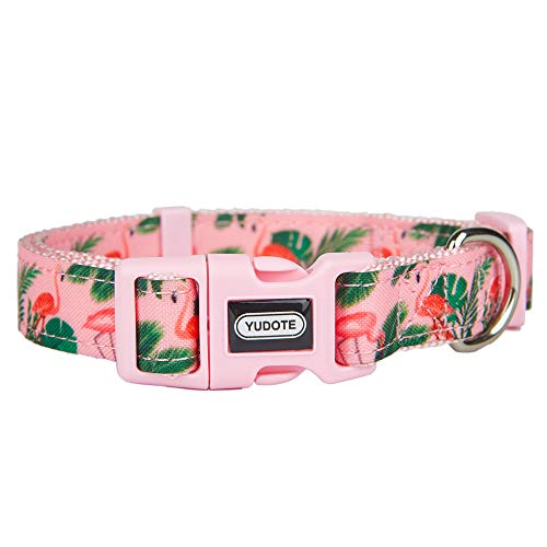 Petiry Nylon-Hundehalsband, Frühling-Sommer-Muster auf Premium-Band, bequem und langlebig, Halsband für Welpen oder robuste Hunde, rosa Flamingo (Halsumfang 25,4 - 38,1 cm) von Petiry