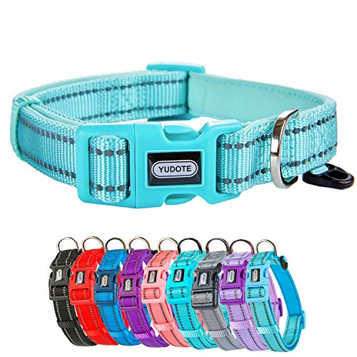 Petiry Reflektierendes Nylon-Hundehalsband mit atmungsaktiver Neopren-Polsterung, verstellbar für große Hunde. (Halsumfang 43,2 cm - 66,8 cm, Blaugrün) von Petiry