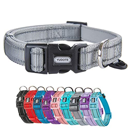 Petiry Reflektierendes Nylon-Hundehalsband mit atmungsaktiver Neopren-Polsterung, verstellbar für große Hunde. (Halsumfang 43,2 cm - 66,8 cm, kühles Grau) von Petiry