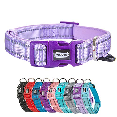 Petiry Reflektierendes Nylon-Hundehalsband mit atmungsaktiver Neopren-Polsterung, verstellbar für mittelgroße Hunde. (Halsumfang 33 - 48 cm, Fliederviolett) von Petiry