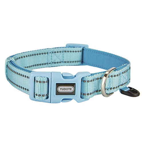 Petiry Reflektierendes Nylon-Hundehalsband mit atmungsaktiver Neopren-Polsterung, verstellbar für mittelgroße Hunde. (Halsumfang 33 - 48 cm, Himmelblau) von Petiry