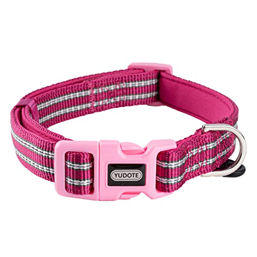 Petiry Reflektierendes Nylon-Hundehalsband mit weicher und bequemer Neopren-Polsterung, verstellbar für große Hunde. (Halsumfang 43,2 cm - 66,8 cm, Rosa) von Petiry