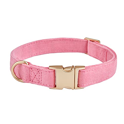 Petiry Weiches Cord-Hundehalsband mit hochwertiger Metallschnalle, für mittelgroße Hunde. Pink, Größe M: 30,5–48,3 cm von Petiry