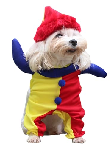 Clownkostüm für Hunde (XL) von Petite Pati