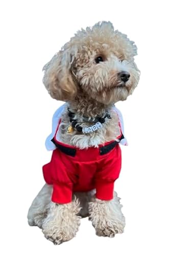 Petite Pati Wasserdichter, Reflektierender Hunde-Regenmantel (Rot, 2XL) von Petite Pati