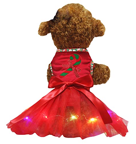 Petitebelle Candy Stick Hundekleid für Welpen, Rot / Rot, Größe M von Petitebelle