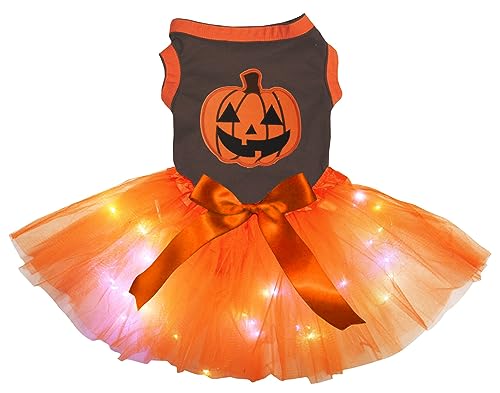 Petitebelle Cute Pumpkin Puppy Dog Dress (Schwarz/Orange LED, XXXL) von Petitebelle