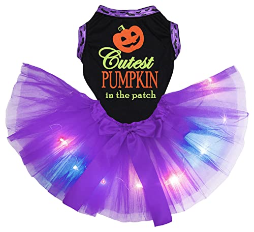 Petitebelle Cutest Smile Pumpkin In The Patch Hundekleid für Welpen, Schwarz/Violett, Größe XS von Petitebelle