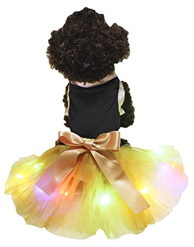 Petitebelle Einfarbiges Shirt mit LED-Licht, Tutu, für Welpen, Größe XS, Schwarz / goldfarben von Petitebelle