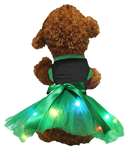 Petitebelle Einfarbiges Shirt mit LED-Licht, Tutu, für Welpen, Größe XXL, Schwarz / Grün von Petitebelle