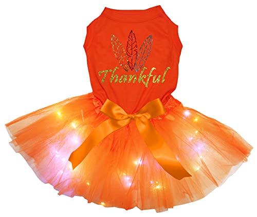 Petitebelle Feathers Thankful Welpenkleid für Hunde, Orange / Orange, Größe M von Petitebelle