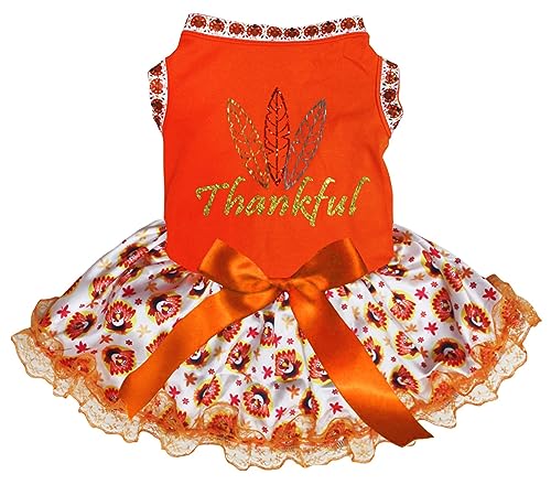 Petitebelle Feathers Thankful Welpenkleid für Hunde, Spitze, Orange / Truthahnmuster, Größe XXXL von Petitebelle