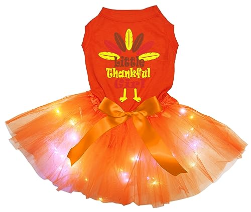 Petitebelle Little Thankful Girl Hundekleid für Welpen, Türkei, Orange / Orange, LED, Größe M von Petitebelle