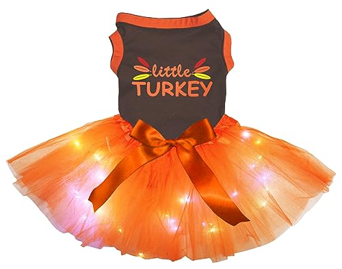 Petitebelle Little Turkey Feathers Welpenkleid für Hunde, Braun / Orange, LED, Größe M von Petitebelle