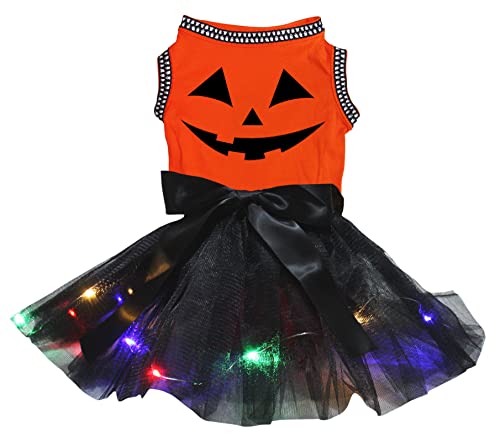 Petitebelle Pumpkin Face Hundekleid für Welpen, orange/schwarze LEDs, Größe XL von Petitebelle