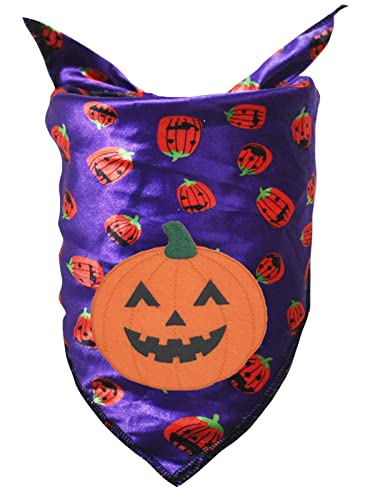 Petitebelle Pumpkin Head Haustierhalstuch, Violett / Kürbis, Größe L von Petitebelle