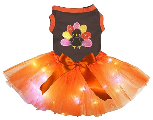 Petitebelle Rainbow Turkey Hundekleid für Welpen, Braun / Orange, LED, Größe M von Petitebelle