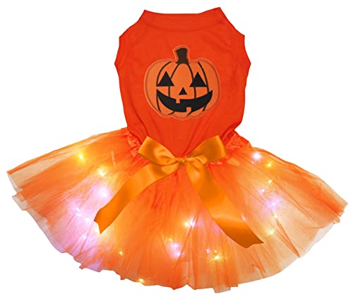 Petitebelle Süßes Kürbis-Welpenkleid für Welpen, Orange / Orange, LED, Größe XL von Petitebelle