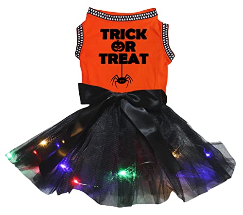 Petitebelle Trick Or Treat Hundekleid mit Spinnenmotiv, Orange/Schwarz, Größe M von Petitebelle