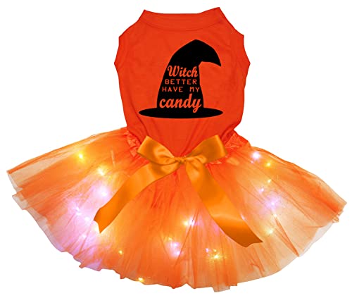 Petitebelle Witch Better Have My Candy Hundekleid für Welpen, orange/orange LED, Größe M von Petitebelle