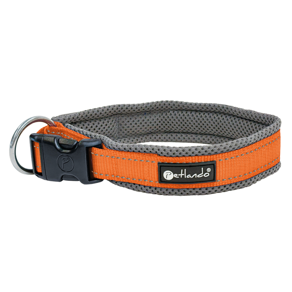 Petlando Outdoor Halsband, orange - Größe M: 45 - 50 cm Halsumfang, 40 mm breit Petlando Outdoor Halsband, orange - Größe M: 45 - 50 cm Halsumfang, 40 mm breit von Petlando