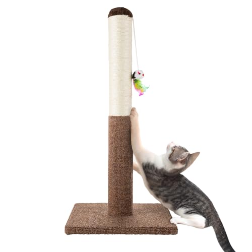 PETMAKER Cat Scratching Post - Tall Scratcher for Cats and Kittens with Sisal Rope and Carpet, Hanging Mouse Toy for Interactive Play (24.5 Inch) von Petmaker