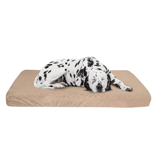 PETMAKER Memory Foam Hundebett - 2-lagiges orthopädisches Hundebett mit maschinenwaschbarem Bezug - 37x24 Hundebett für große Hunde bis 29,5 kg (Hellbraun) von Petmaker