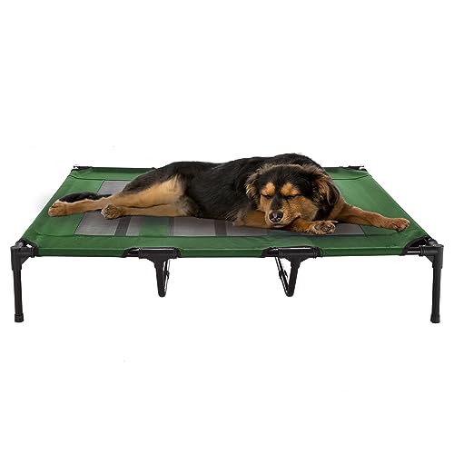 Petmaker Erhöhtes Hundebett, 48 x 35,5 cm, tragbares Bett für Haustiere mit rutschfesten Füßen – Indoor/Outdoor Hundebett oder Welpenbett für Haustiere bis 50 kg (Grün) von Petmaker